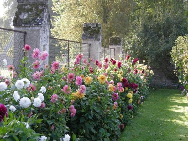 Chateau De Montriou Feneu Exterior foto